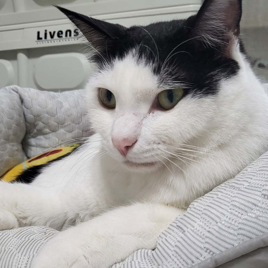 안온 사진 3