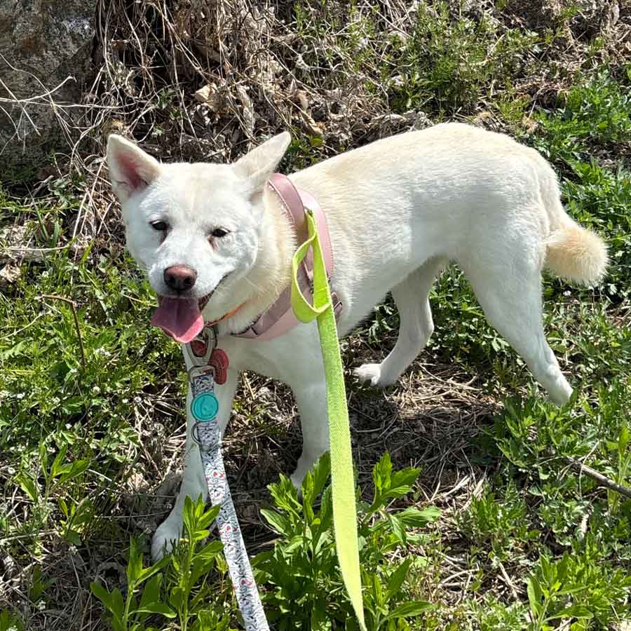 보름의 일상 모습