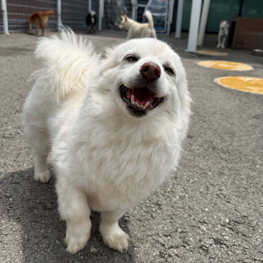 에디 사진 6