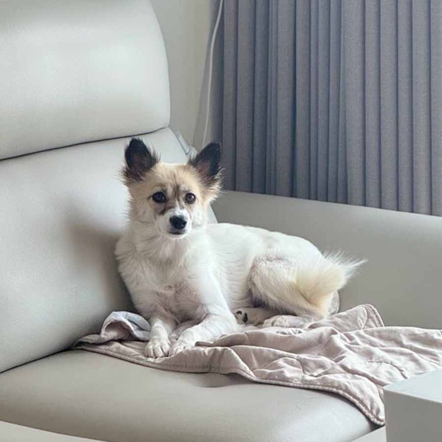 고운의 일상 모습