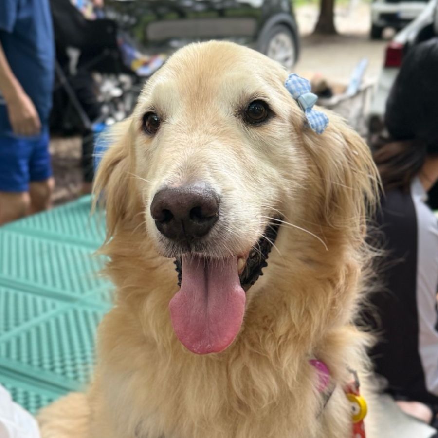 영웅