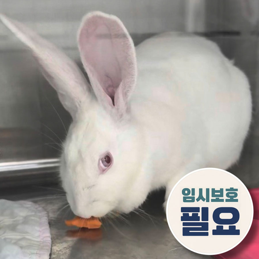 몰랑 사진 2