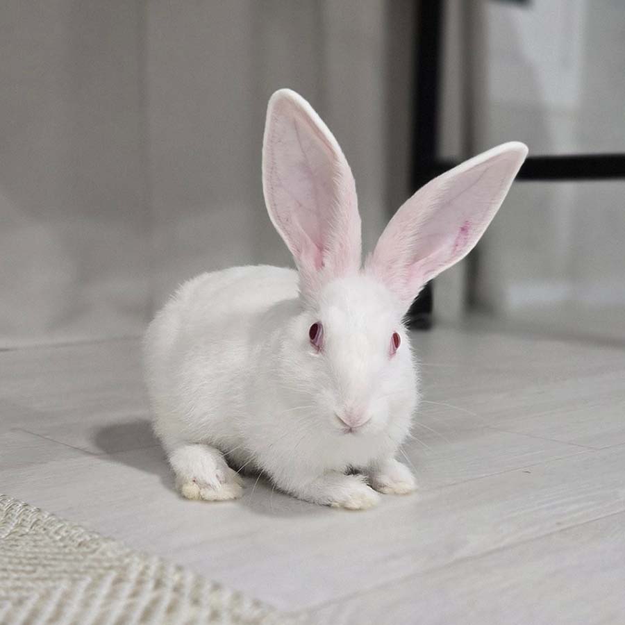 오키 사진 5