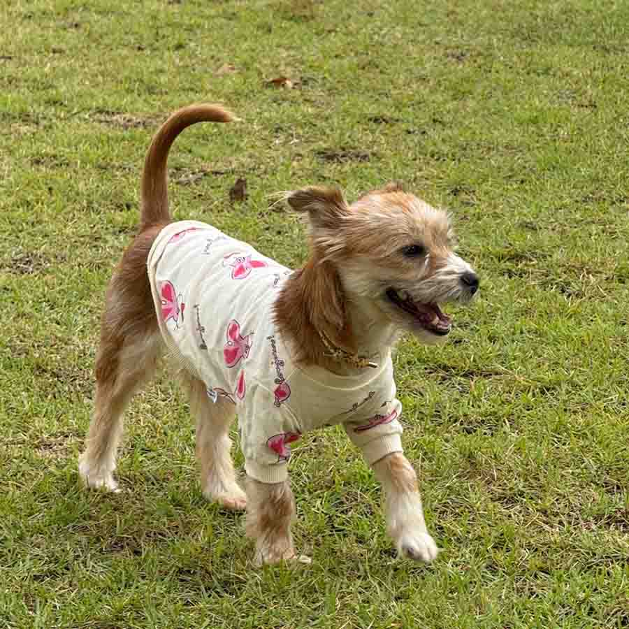 선덕 사진 6