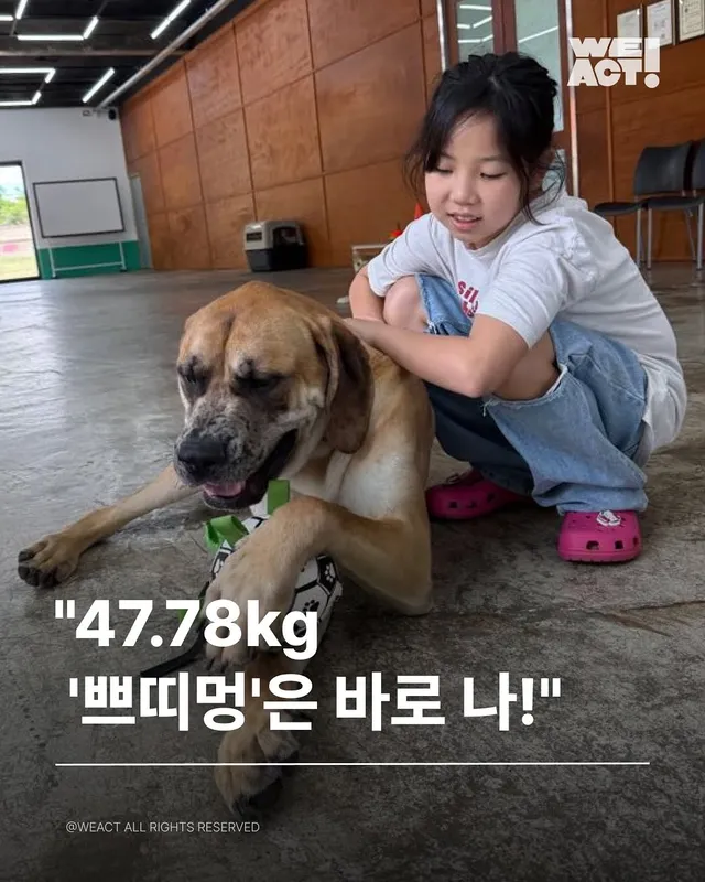 부산개백화점 - 위액트 럭스