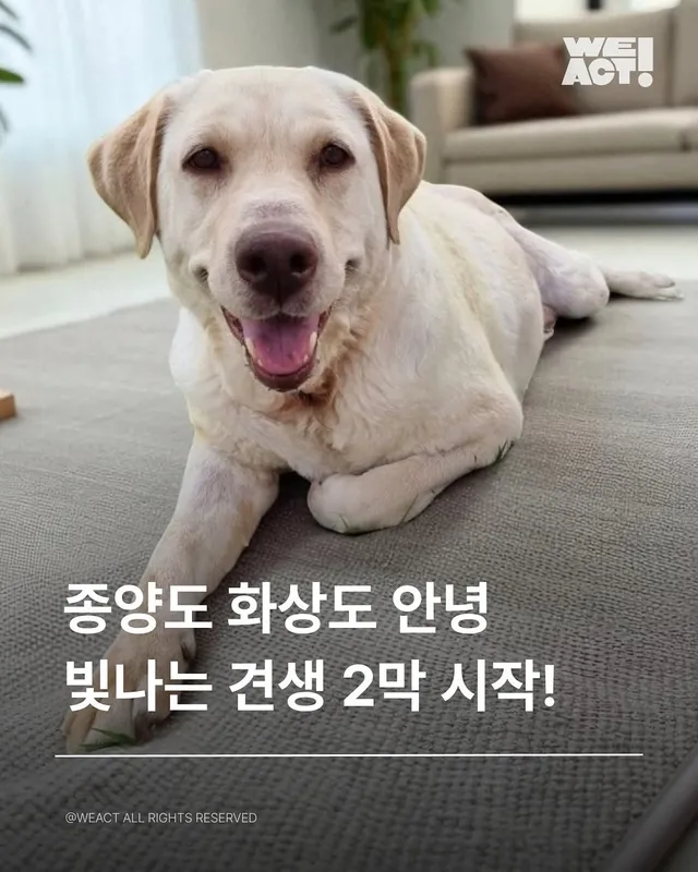 경북산불구조 - 위액트 도라