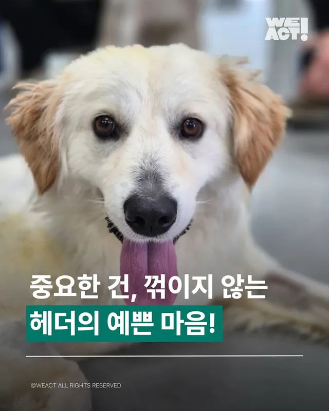 중요한 건, 꺾이지 않는 헤더의 예쁜 마음!