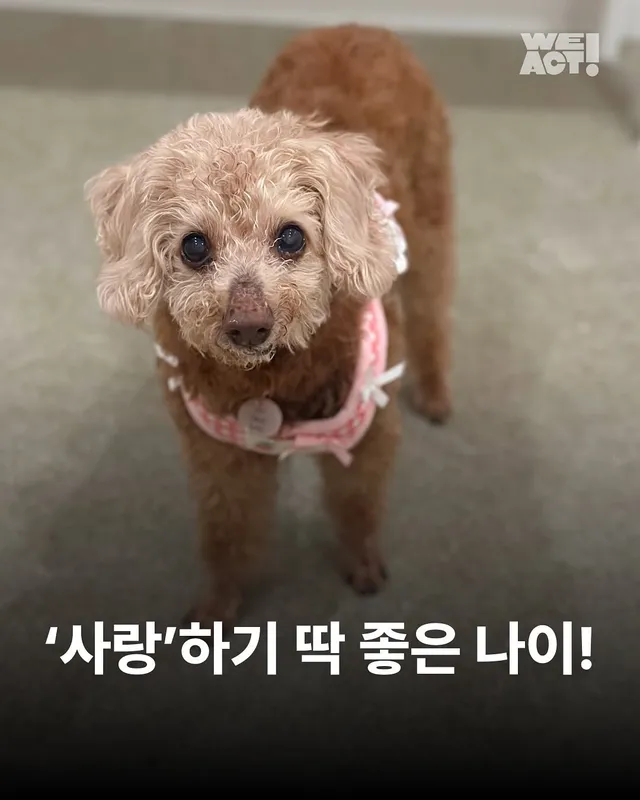 위액트 사랑 - 부산개백화점