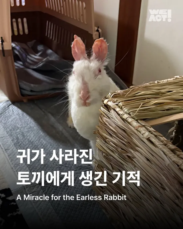경북산불구조-위액트 프릴