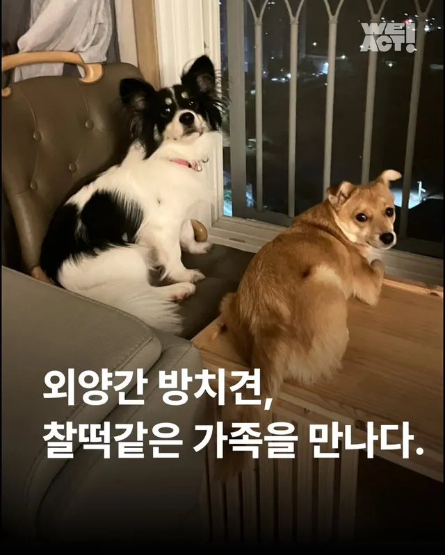 위액트 터그