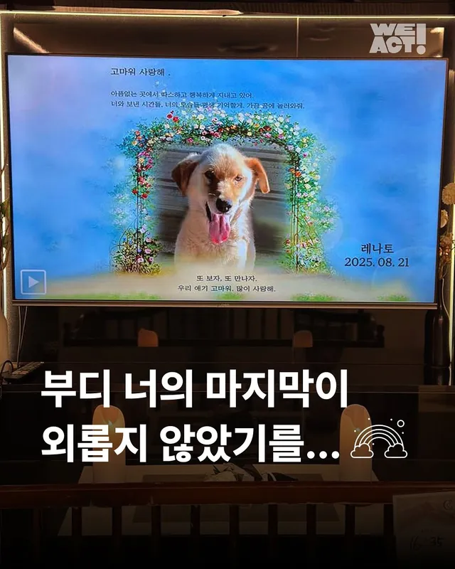 부디 네 마지막이 외롭지 않았기를..-위액트 레나토