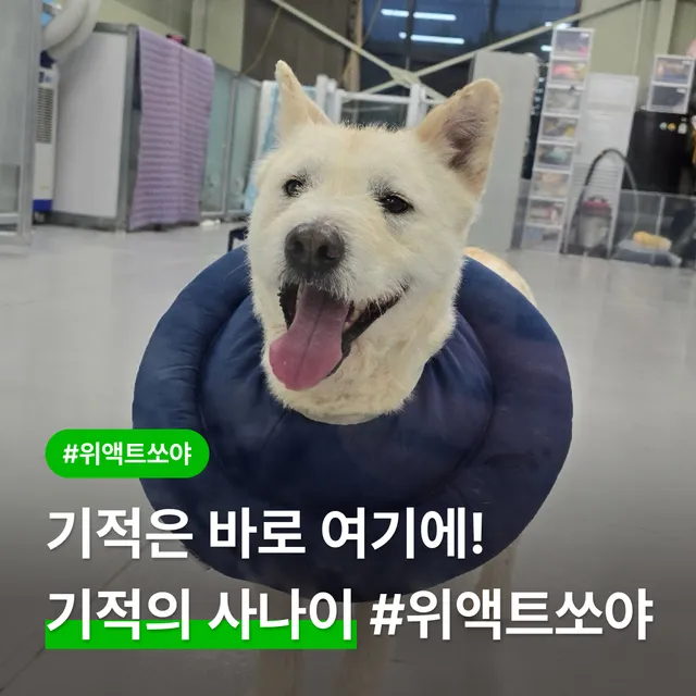 기적은 바로 여기에! 기적의 사나이 #위액트쏘야!