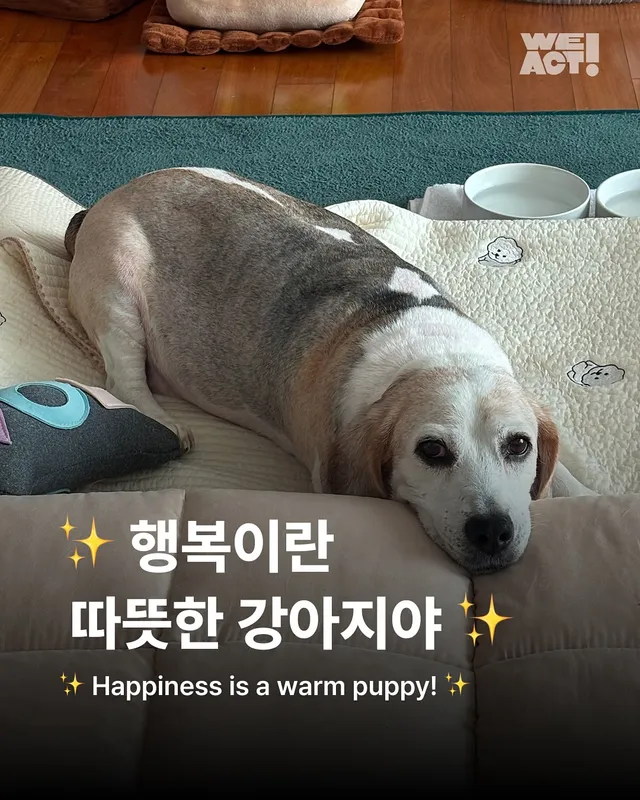 "행복이란 따뜻한 강아지야."