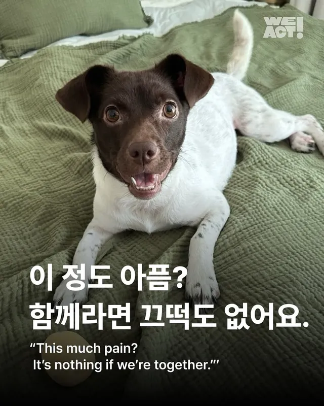 이 정도 아픔? 함께라면 끄떡도 없어요.