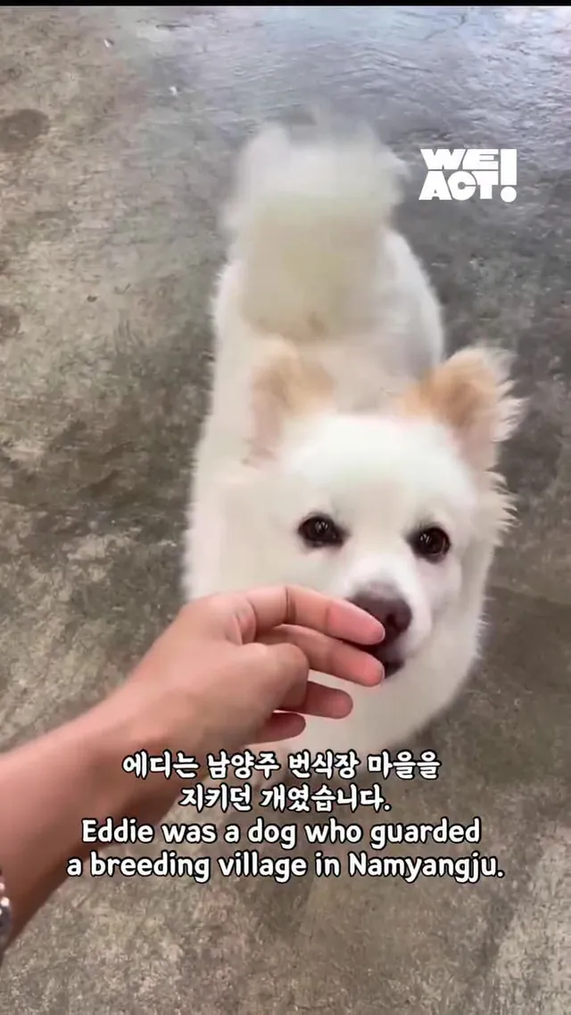 화 속에 숨은 말, “나 좀 안아줘요.”