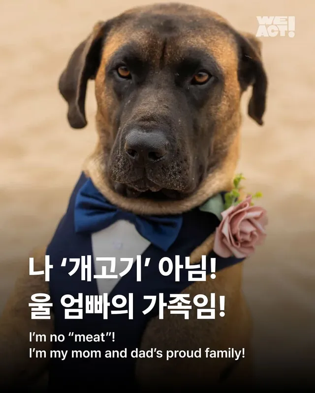 나 ’개고기‘ 아님! 울 엄빠의 가족임!