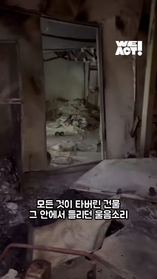 잿더미 속 아기 고양이, 이젠 귀여운 막내딸!