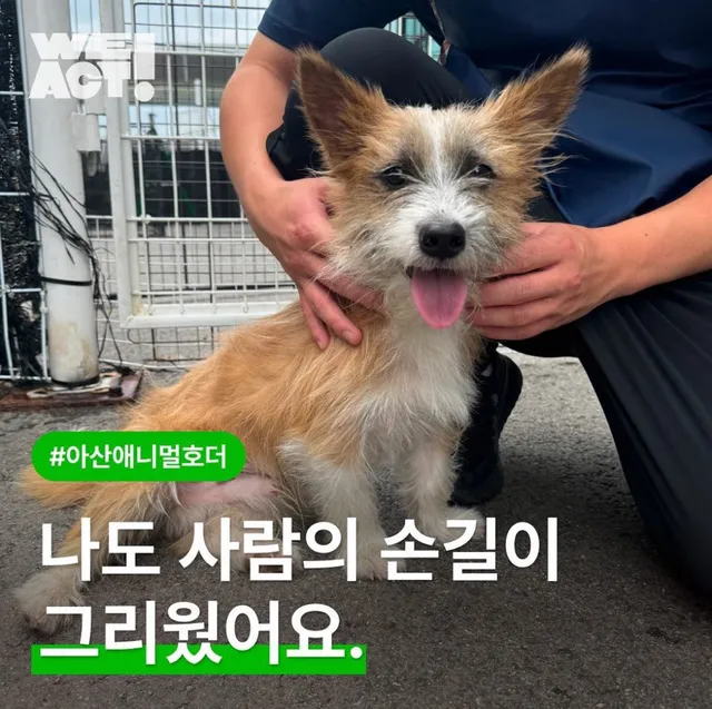 나도 사람의 손길이 그리웠어요.