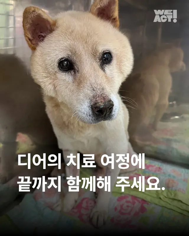 디어의 치료 여정에 끝까지 함께해주세요.