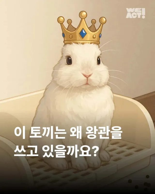 왕관같은 귀를 가진 토끼 이야기