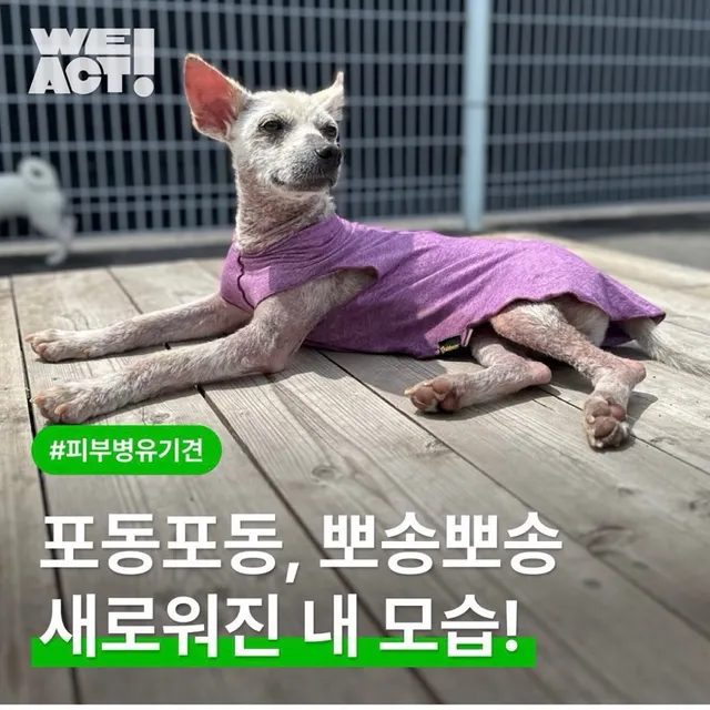 포동포동, 뽀송뽀송 새로워진 내 모습!