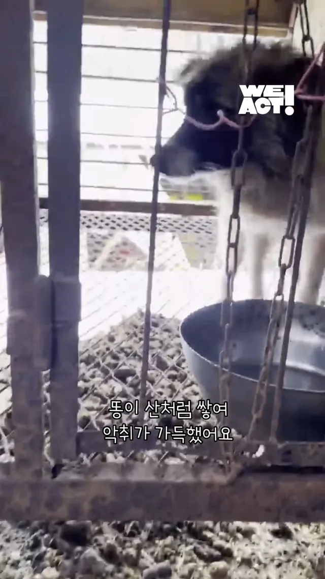 "처음 만난 그 순간을 잊지 않을 거예요." -위액트빈츠