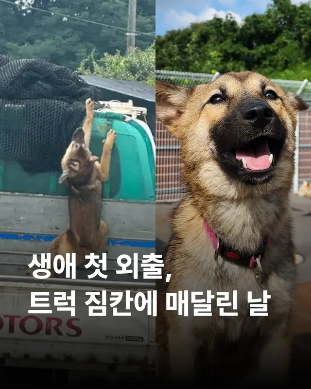 생애 첫 외출, 트럭 짐칸에 매달린 날 - 위액트지프