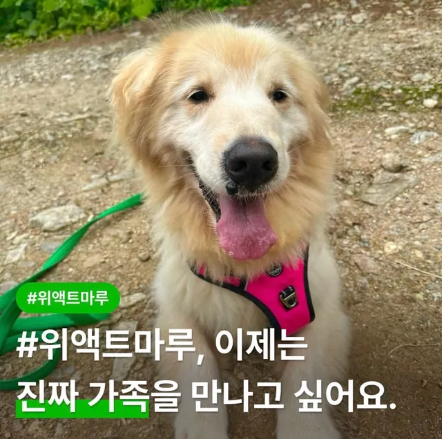 이제는 진짜 가족을 만나고 싶어요