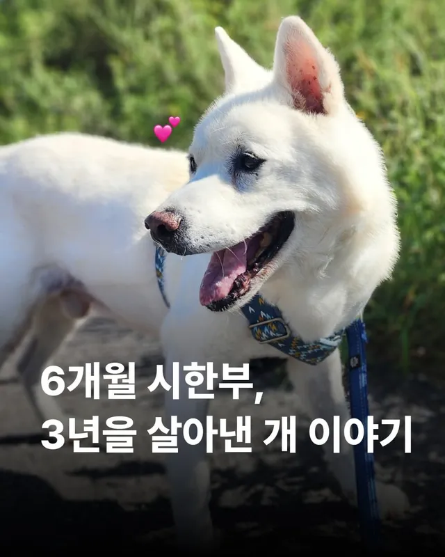 3년째 기적을 써 내려가는 개