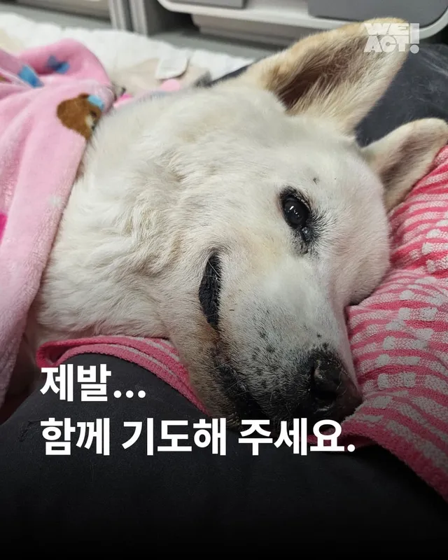 제발 .. 함께 기도해주세요..