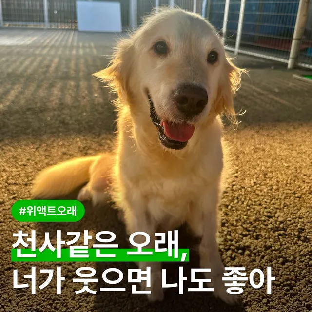 천사같은 오래, 너가 웃으면 나도 좋아