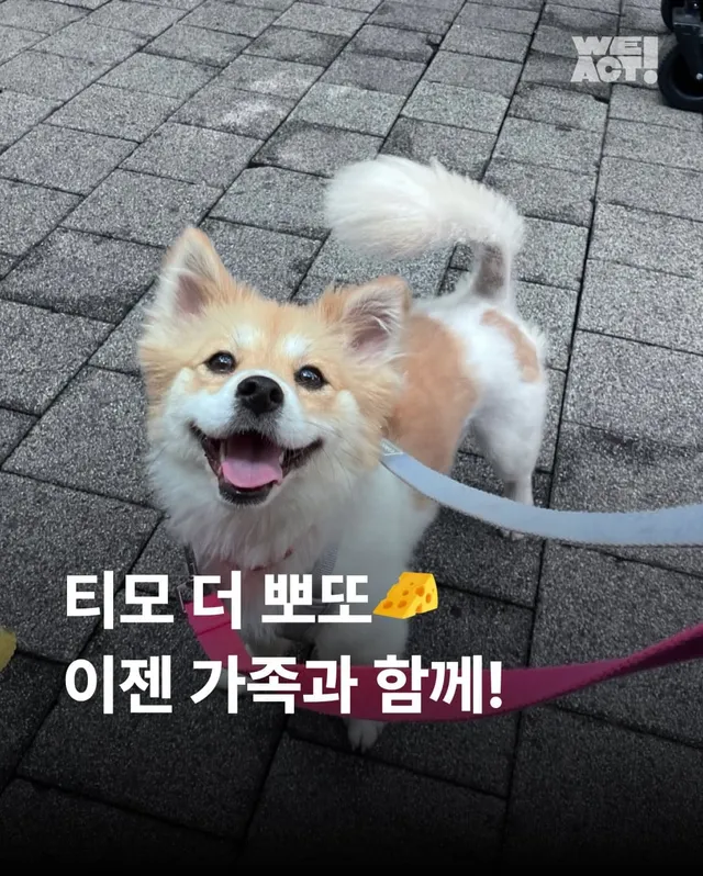 가족 품에서 더욱 빛나는 꼬리펠러 !