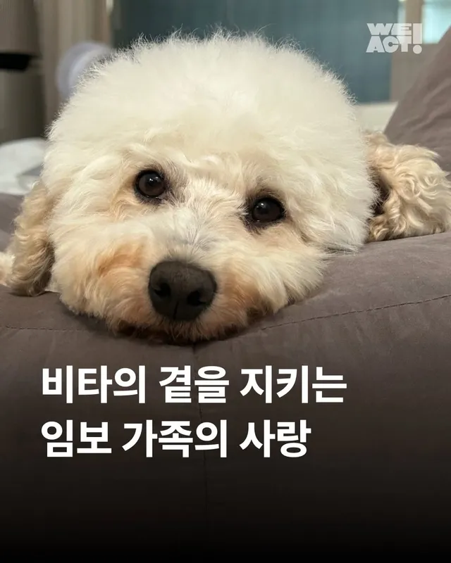 비타의 곁을 지키는 임보 가족의 사랑 #위액트비타