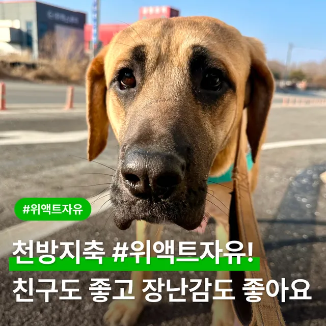 천방지축 #위액트자유! 친구도 좋고 장난감도 좋아요!