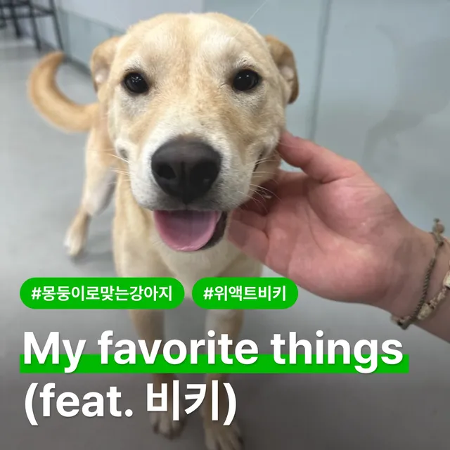 My Favorite Things (feat.비키)