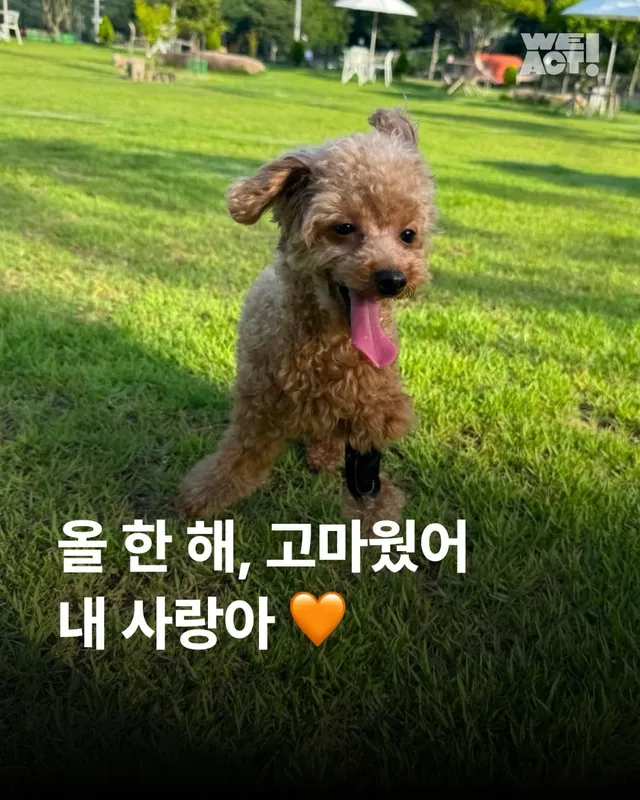 올 한 해 고마웠어, 내 사랑아