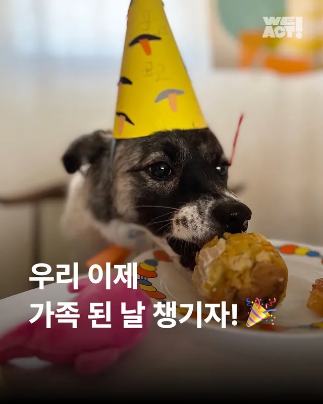 우리 이제 가족 된 날 챙기자 !