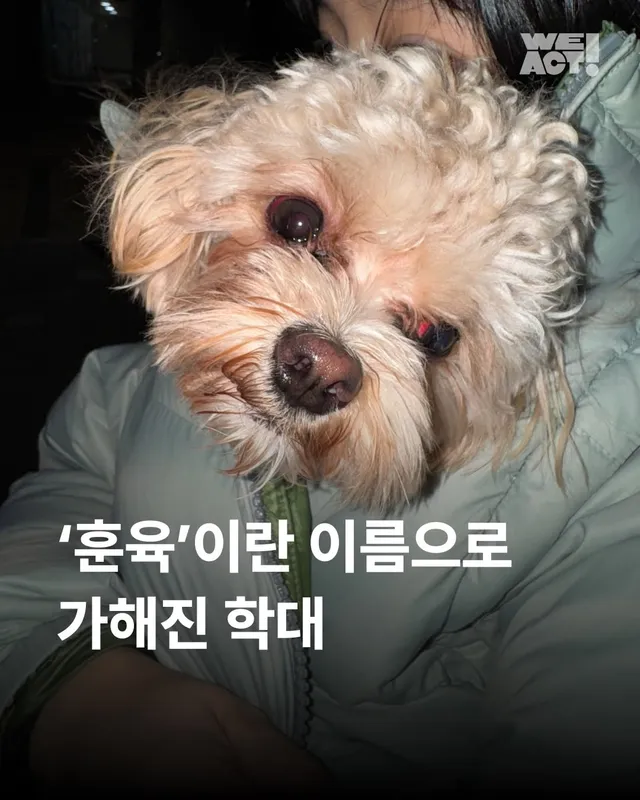 '훈육'이라는 이름으로 가해진 학대 #위액트앙쥬