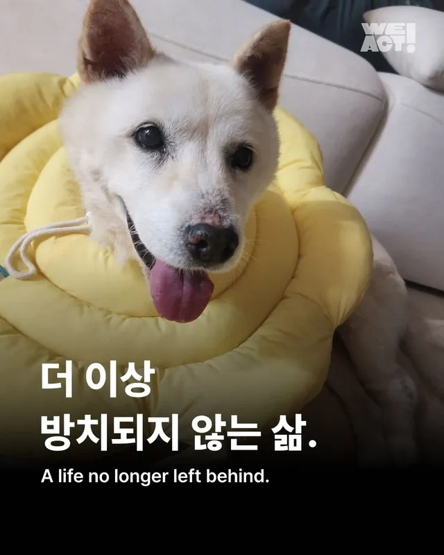 더 이상 방치되지 않는 삶