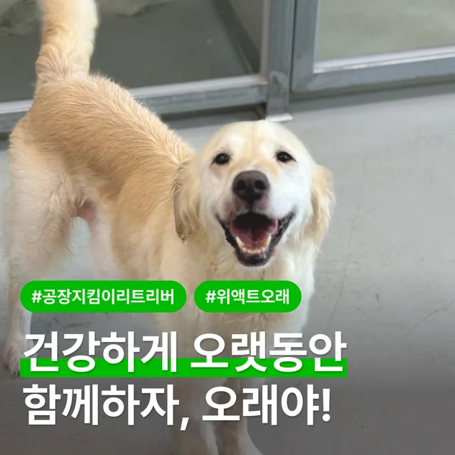 건강하게 오랫동안 함께하자 오래야!