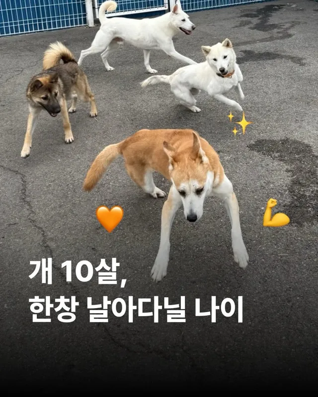 내 나이가 어때서 !