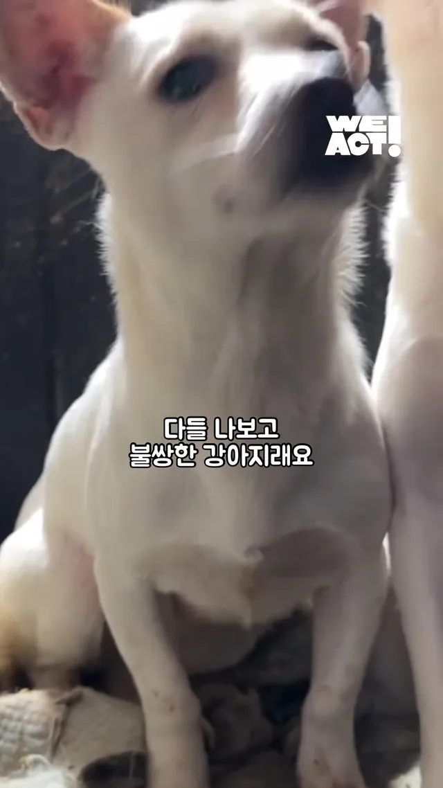 내가 본 공고 사진 #위액트삐삐