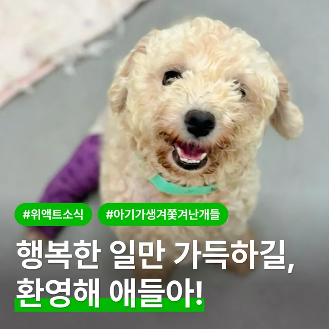 행복한 일만 가득하길! 환영해 애들아!