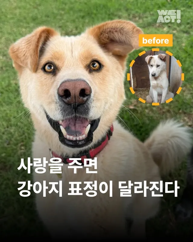 사랑을 주면 표정이 달라진다 #위액트바니