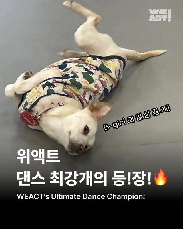 위액트 댄스 최강 개의 등!장! #위액트예원 #위액트보름
