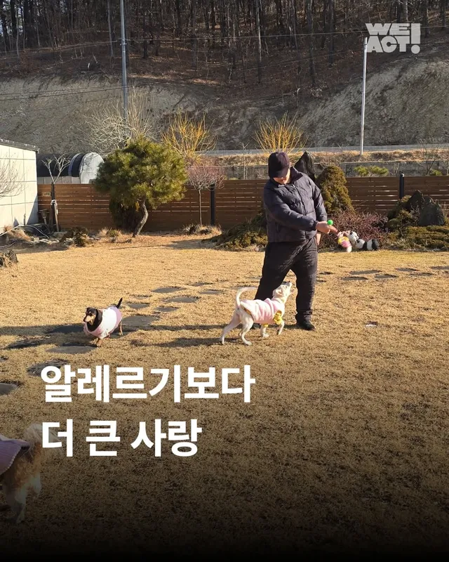 알레르기보다 더 큰 사랑