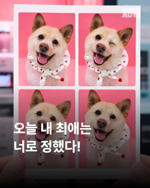 오늘 내 최애는 너로 정했다!
