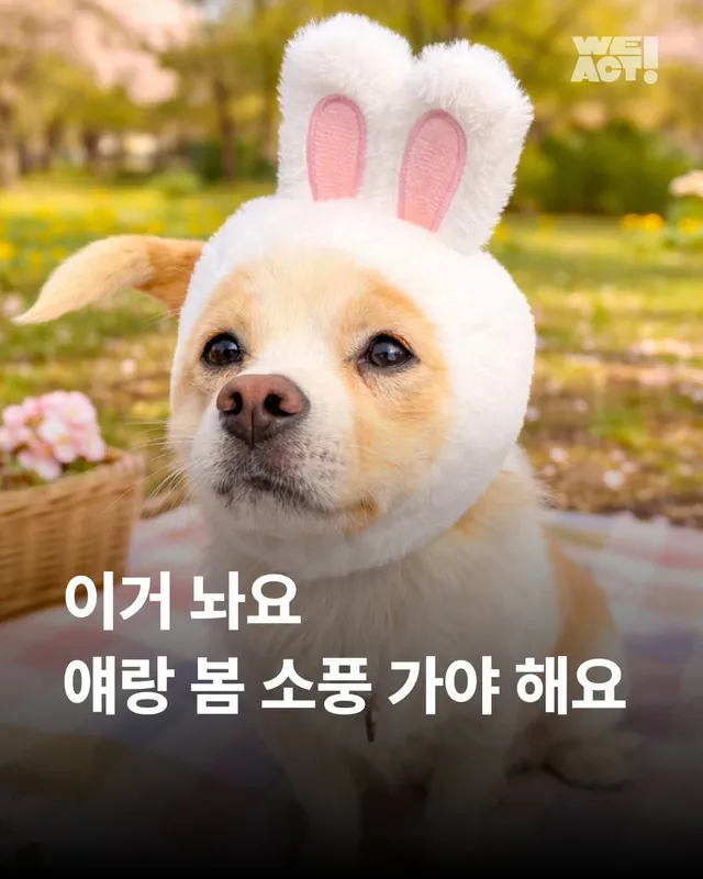 이거 놔요 나 얘랑 봄 소풍 가야 해요