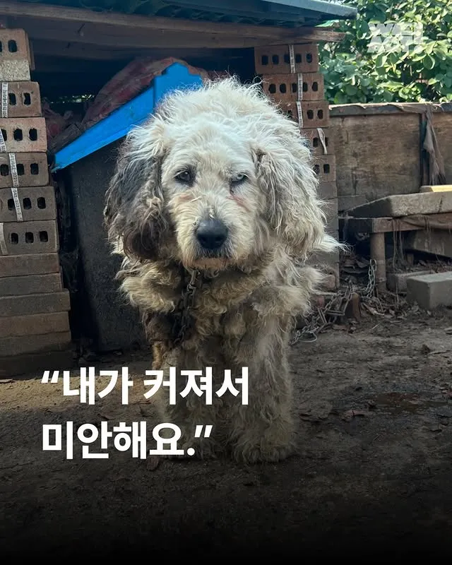내가 커져서 미안해요 #위액트마린