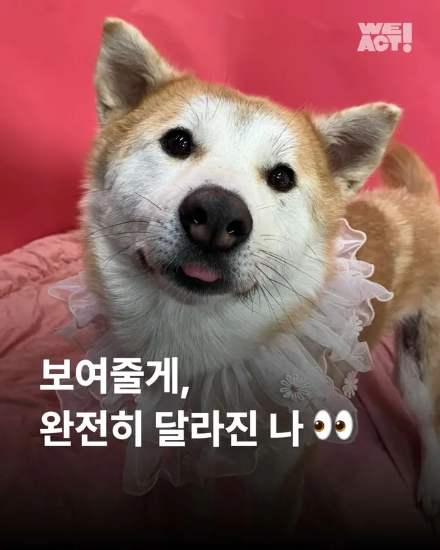 보여줄게, 완전히 달라진 나